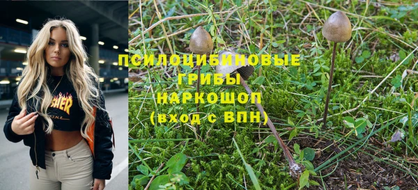 альфа пвп Беломорск